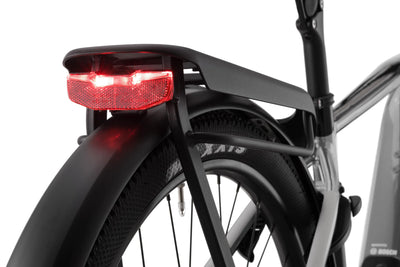 Cannondale Tesoro Neo X 1