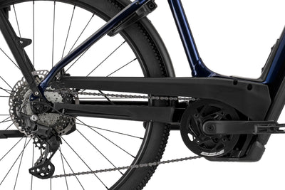 Cannondale Tesoro Neo X 1