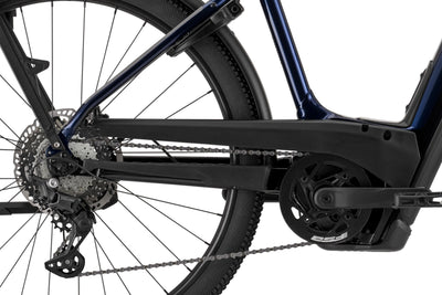 Cannondale Tesoro Neo X 1