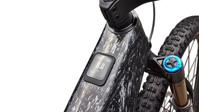 Specialized S-Works Turbo Levo R