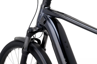 Cannondale Tesoro Neo X 1