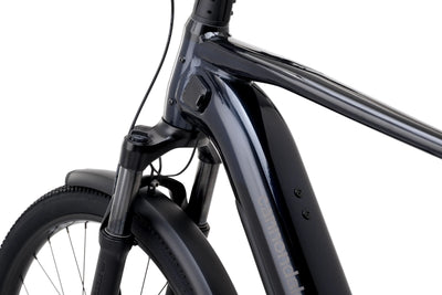 Cannondale Tesoro Neo X 1