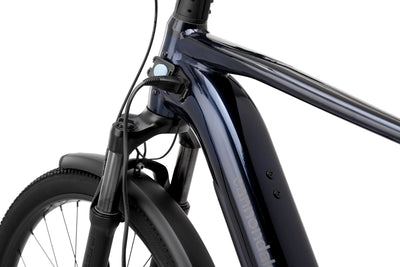 Cannondale Tesoro Neo X 1