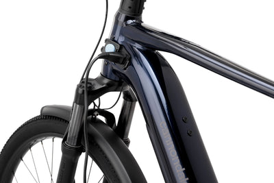 Cannondale Tesoro Neo X 1