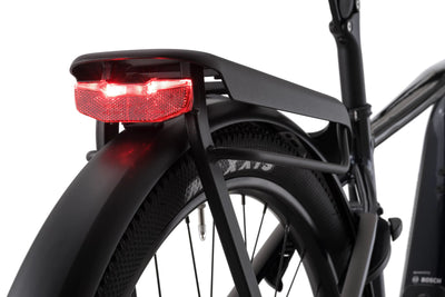 Cannondale Tesoro Neo X 1