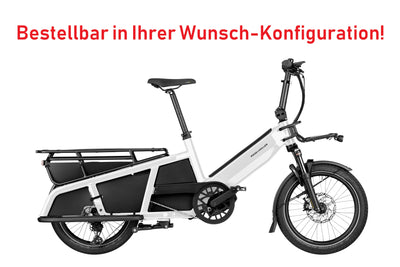 Riese & Müller Multitinker Touring & Vario
