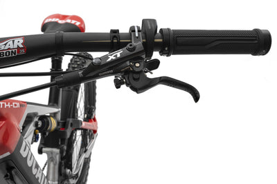 Ducati Leihrad TK-01RR