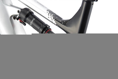 Cannondale Leihrad Moterra Neo Carbon 1