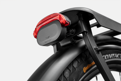 Cannondale Mavaro Neo 1