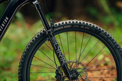 Aventon Leihrad Current EXP