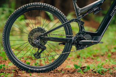 Aventon Leihrad Current EXP