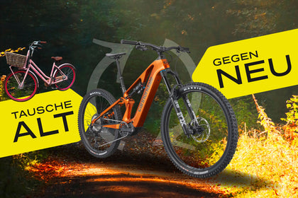 Alt gegen Neu