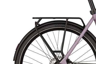 Riese & Müller Culture Mixte silent Testbike