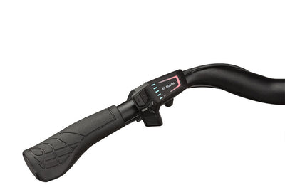 Riese & Müller Culture touring