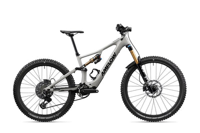 Amflow Leihrad PX Carbon Pro