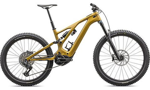 Specialized Turbo Levo Expert T-Typ
