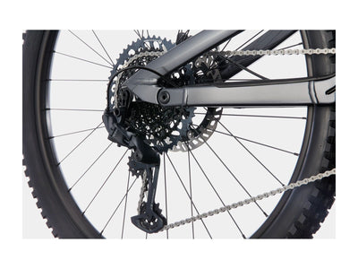 Cannondale Moterra Neo Carbon 2