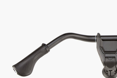 Riese & Müller Charger5 Mixte vario Testbike