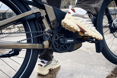 Riese & Müller Delite5 GT pinion Testbike