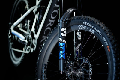 Storck Vorführer e:drenic.2 GTS 630 XT 1x12