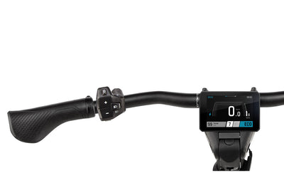 Riese & Müller Homage5 GT pinion Testbike