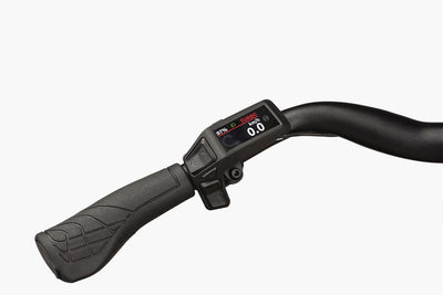 Riese & Müller Culture vario Testbike