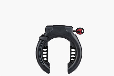 Riese & Müller Culture vario Testbike