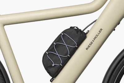 Riese & Müller Culture vario Testbike