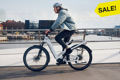 Abverkauf unserer Riese & Müller Testbikes
