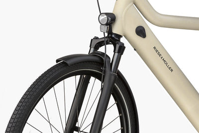 Riese & Müller Culture vario Testbike